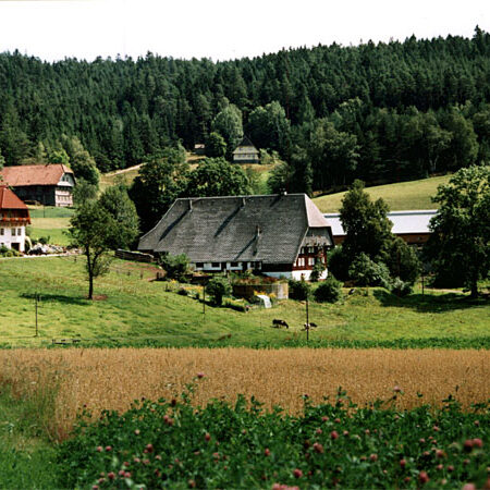 Der Bauernhof und unsere Tiere