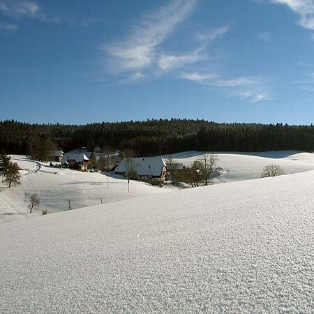 Winter auf dem Kieningerbauernhof