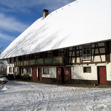 Winter auf dem Kieningerbauernhof