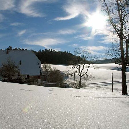 Winter auf dem Kieningerbauernhof