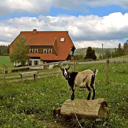 Der Bauernhof und unsere Tiere