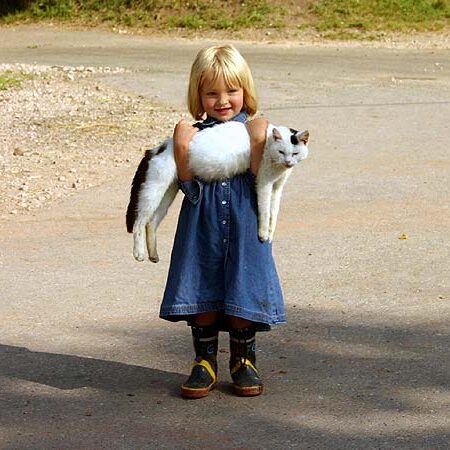 Kieningerhof - Der Kinderbauernhof