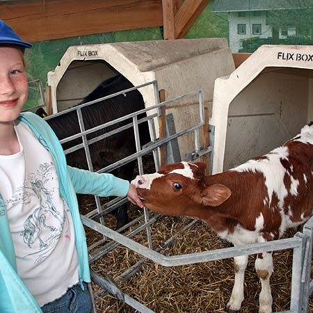 Der Bauernhof und unsere Tiere