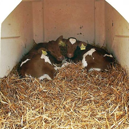 Der Bauernhof und unsere Tiere