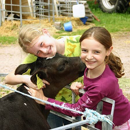 Kieningerhof - Der Kinderbauernhof
