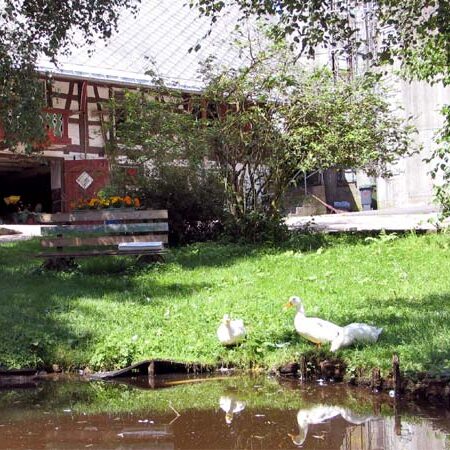 Der Bauernhof und unsere Tiere