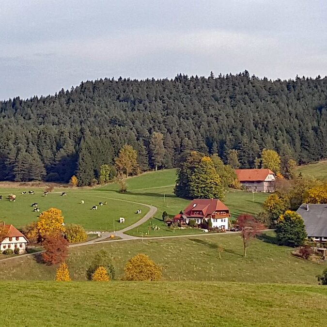 Kieningerhof Unser Haus 1