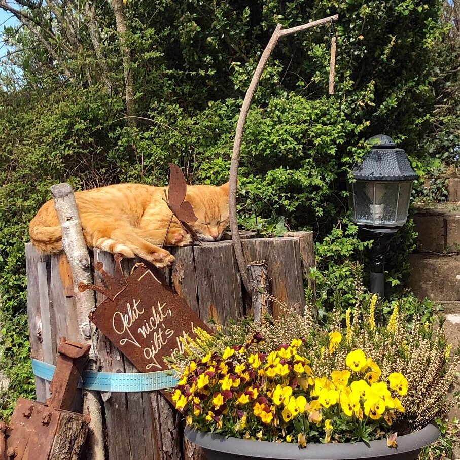 Kieningerhof Unser Haus 6