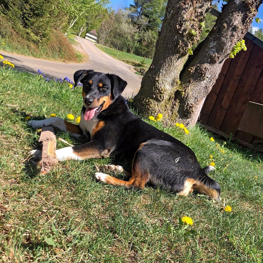 Kieningerhof Unser Haus 7