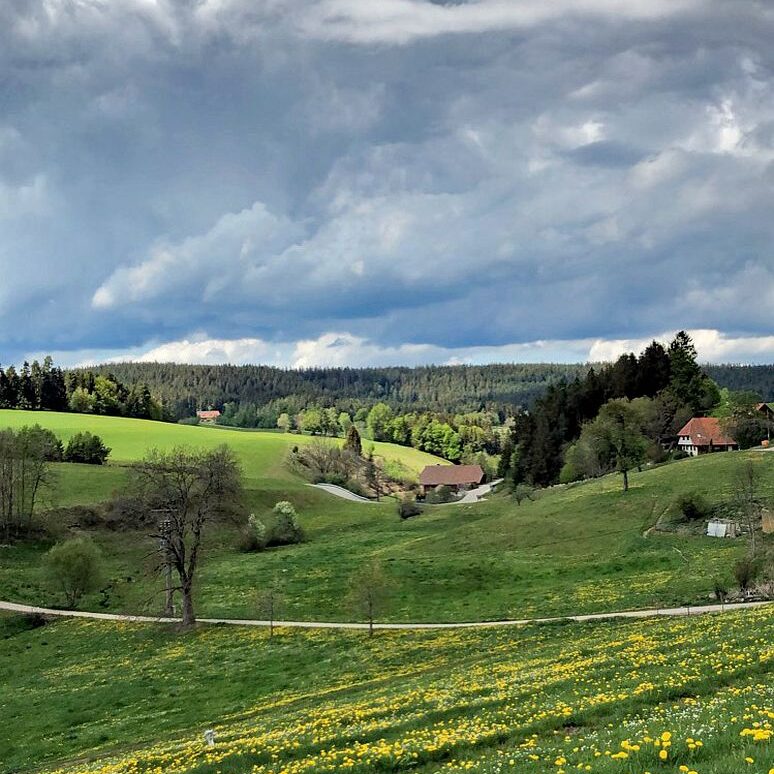 Kieningerhof Unser Haus 8