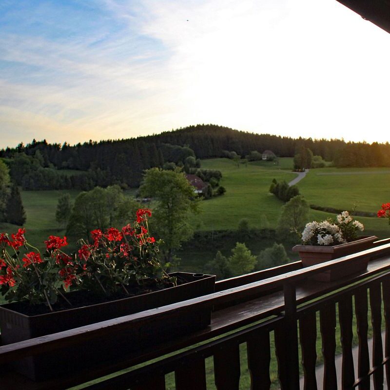 Kieningerhof Wohnung A 1 1