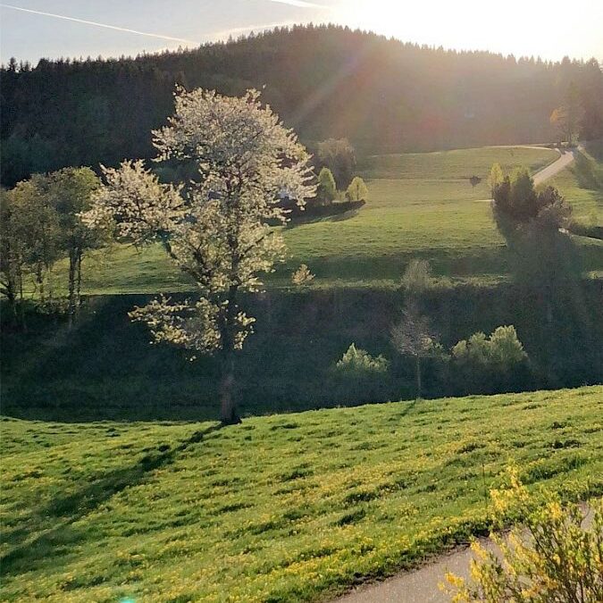 Kieningerhof Wohnung A 10 1