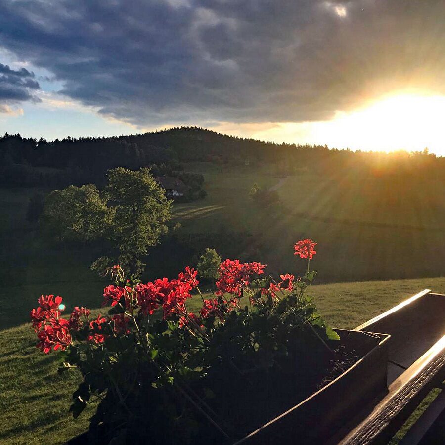 Kieningerhof Wohnung A 18