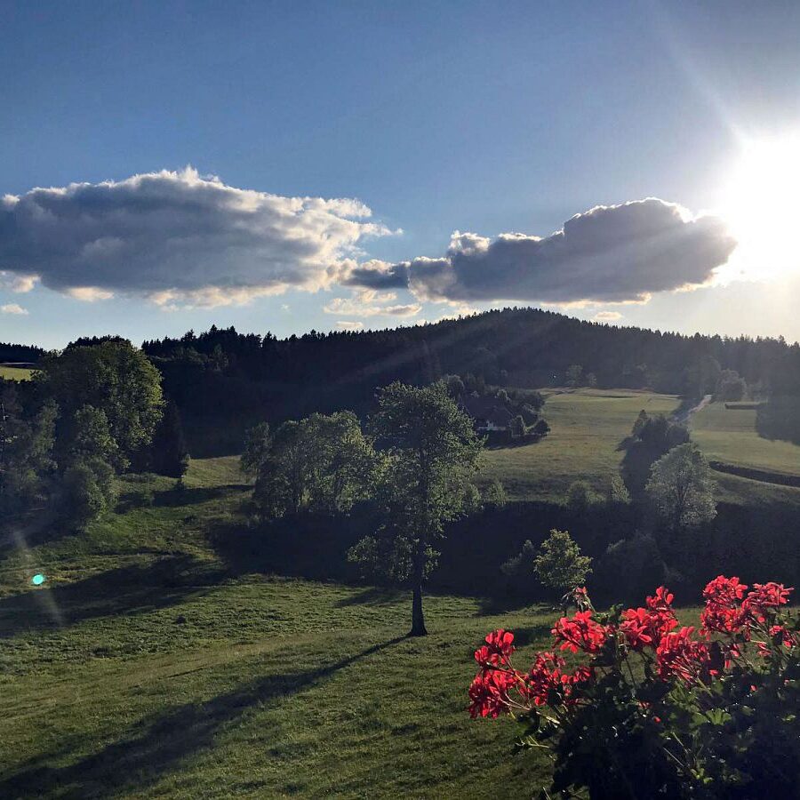 Kieningerhof Wohnung A 19