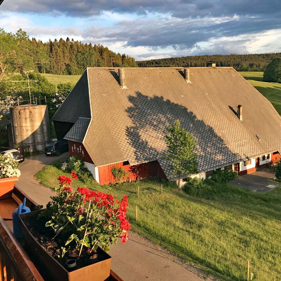 Kieningerhof Wohnung A 5 1