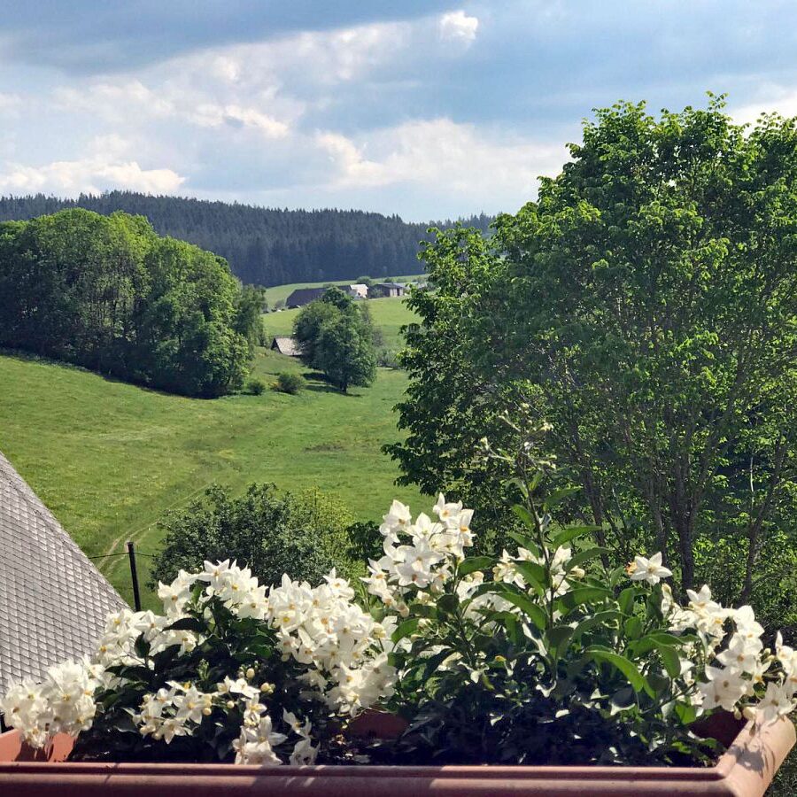 Kieningerhof Wohnung A 9 1