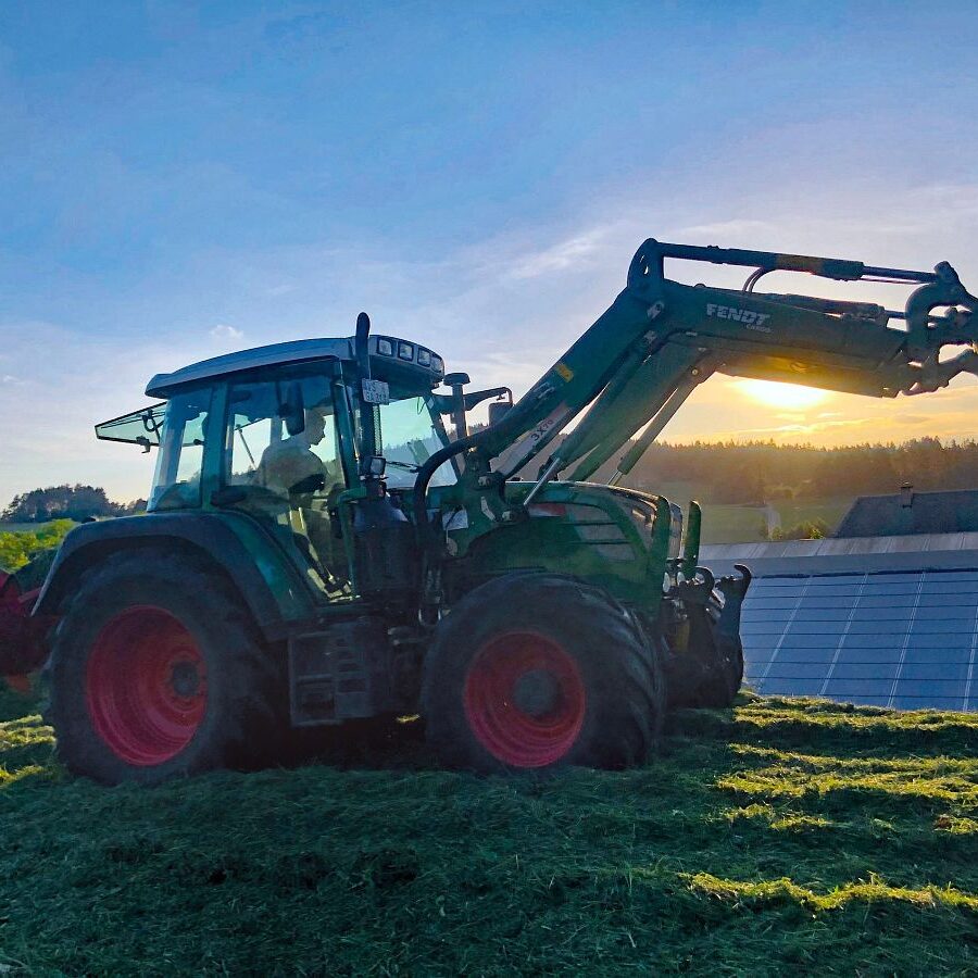 Kieningerhof der Bauernhof 3