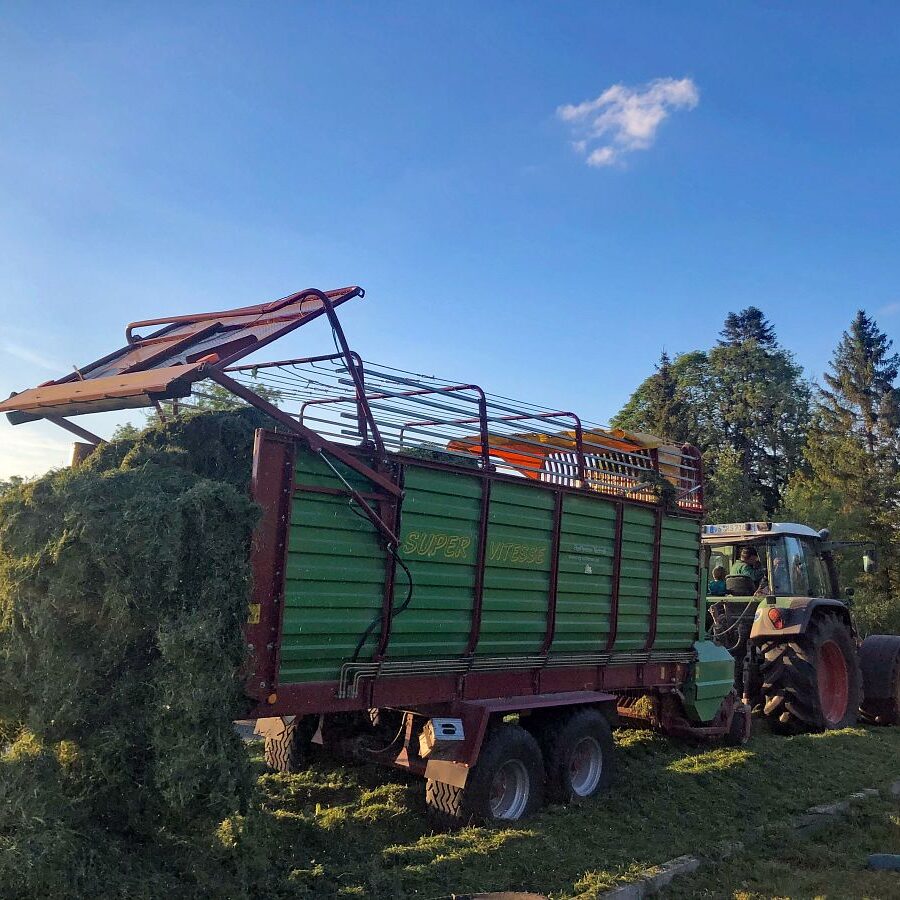 Kieningerhof der Bauernhof 9