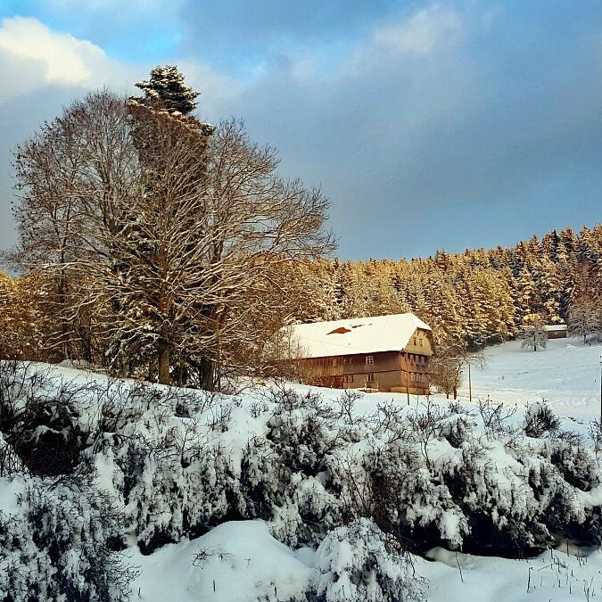 Kieningerhof im Winter 1
