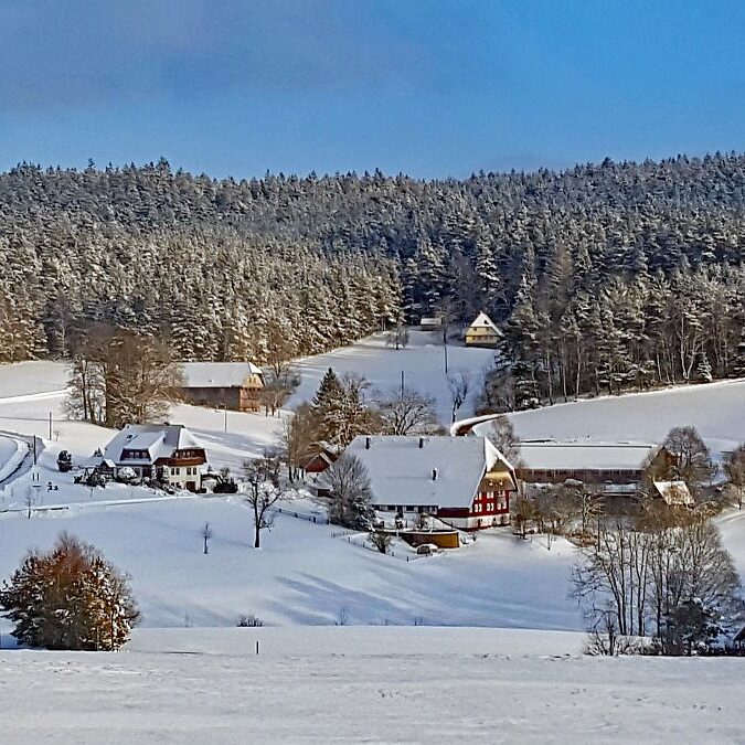 Kieningerhof im Winter 2