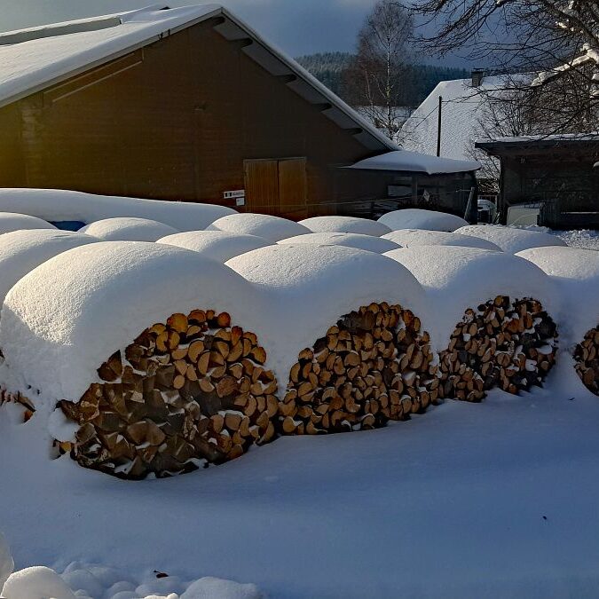 Kieningerhof im Winter 3