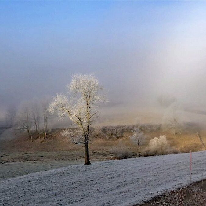 Kieningerhof im Winter 4